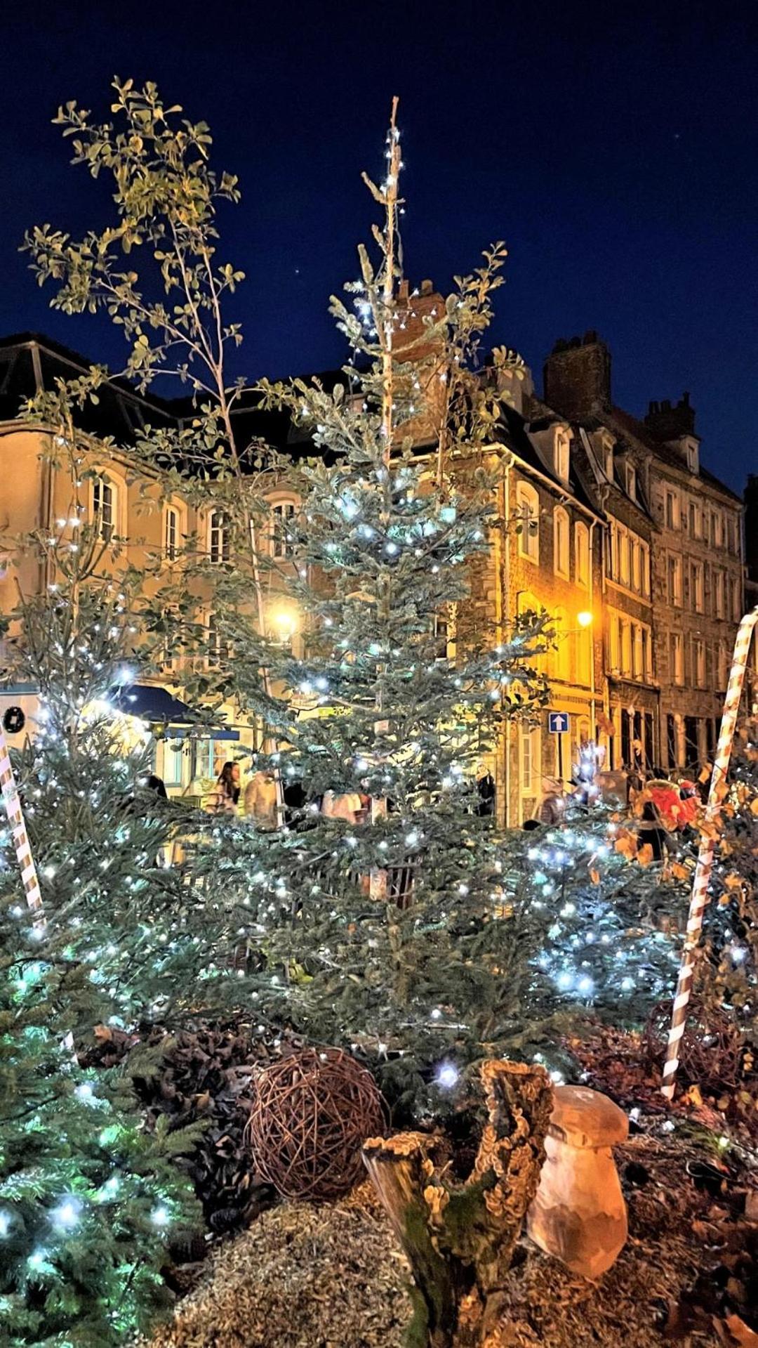 Cocon Lumineux Proche De La Ville Fortifiee Et De Nausicaa Boulogne-sur-Mer Ngoại thất bức ảnh